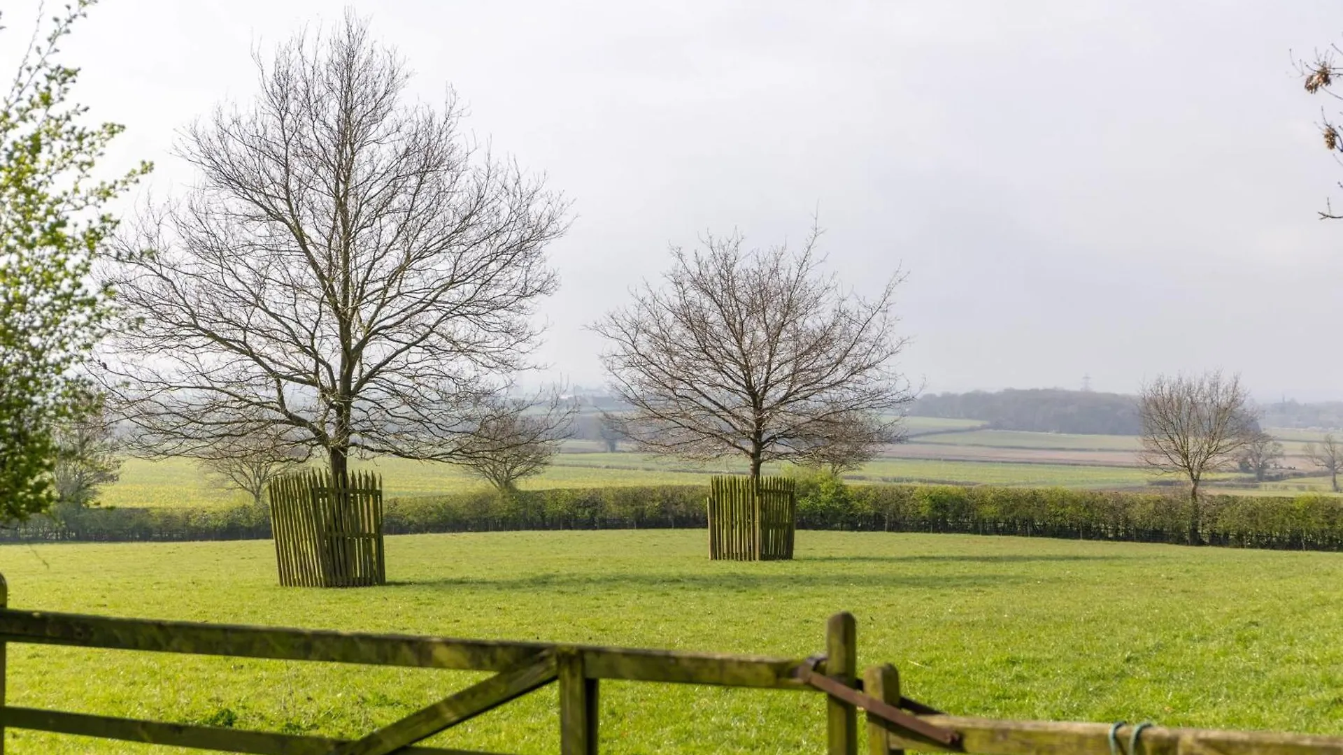 Long Shed Cottage Thirsk Holiday home